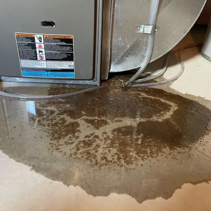 Appliance Leak Cleanup in Columbus, MT